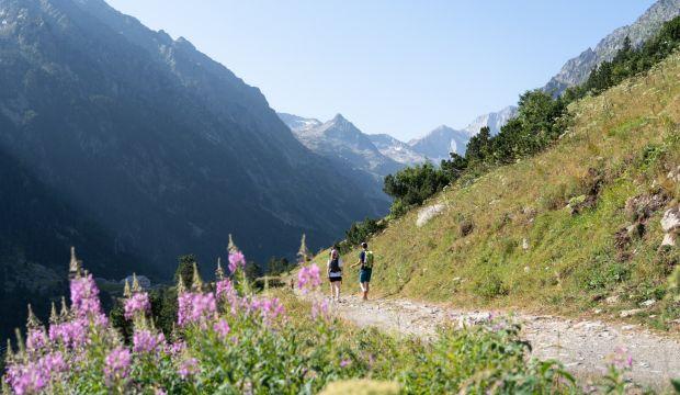 pyrenees-rando