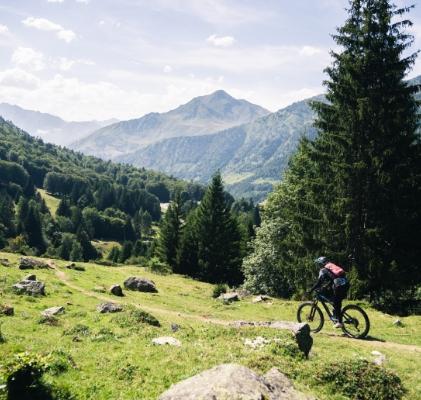 Piste DH au Grand-Tourmalet dans les sapins